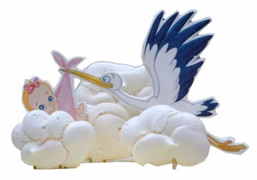 Cigüeña De Niña / Niño
